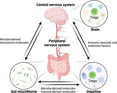 TREGking From Gut to Brain: The Control of Regulatory T Cells Along the Gut-Brain Axis